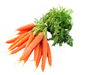 fresh-carrot