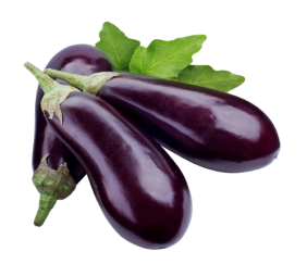 fresh-eggplant