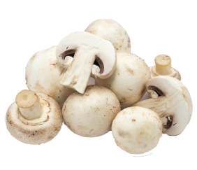 fresh-mushrooms